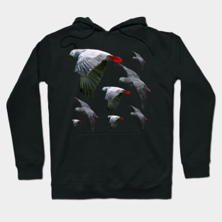 African Grey Parrots Flying Free Hoodie